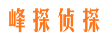 金塔市调查公司